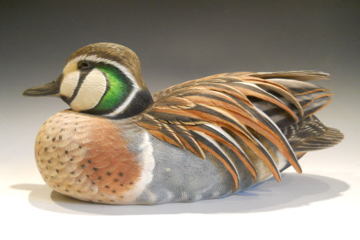 Baikal Teal Drake