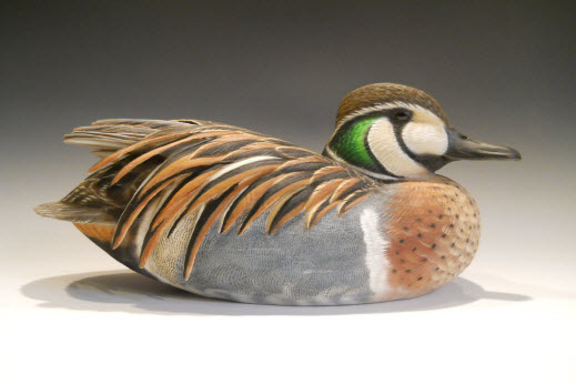 Baikal Teal Drake