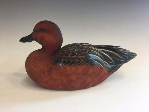 Cinnamon Teal Drake