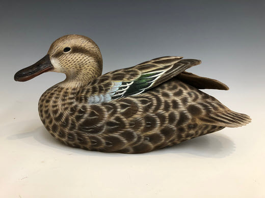 Cinnamon Teal Hen