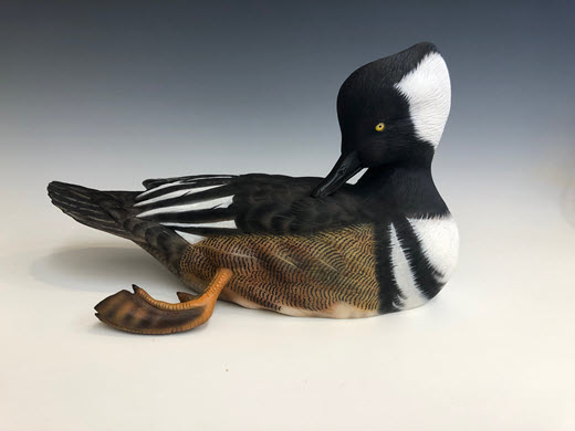 Hooded Merganser Drake
