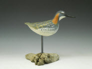 Red Necked Phalarope