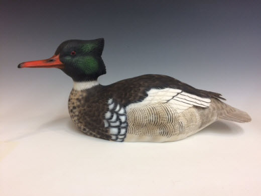 Red-breasted Merganser Drake