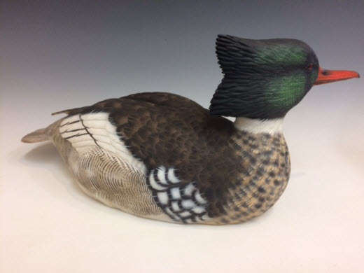 Red-breasted Merganser Drake