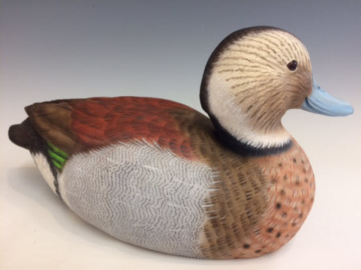 Ringed Teal Drake