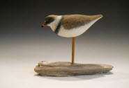 Semi-Palmated Plover