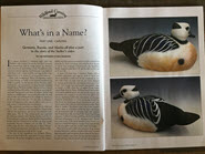 Steller's Eider Drake