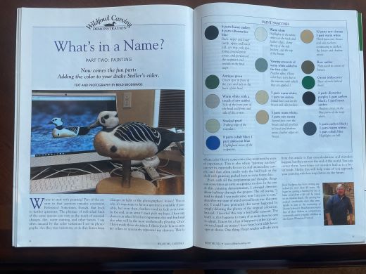 Steller's Eider Drake