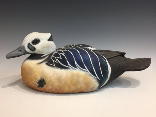 Steller's Eider Drake