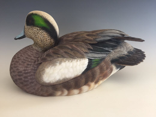 Wigeon Drake