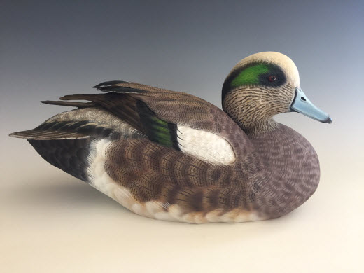 Wigeon Drake