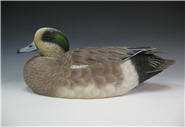 Wigeon Drake